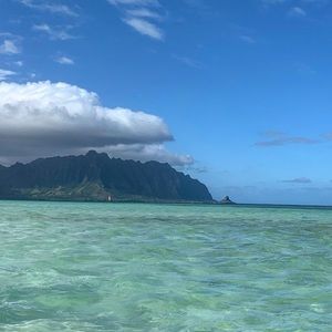 Meet your Posher, Carolyn